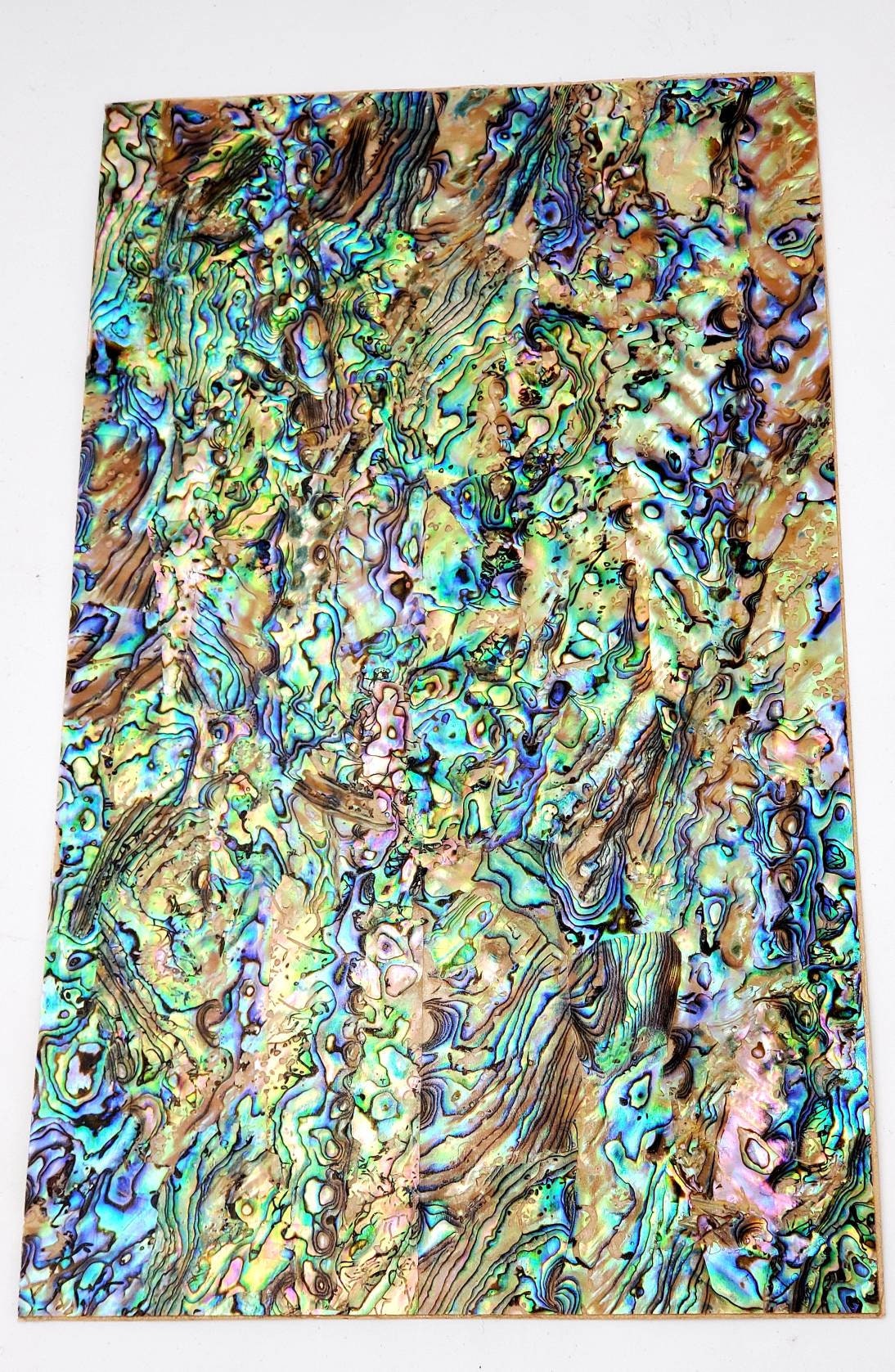 Natural Paua Abalone Adhesive Veneer Sheet (Mother of Pearl Shell) 9.5 x 5.5 inches -A46