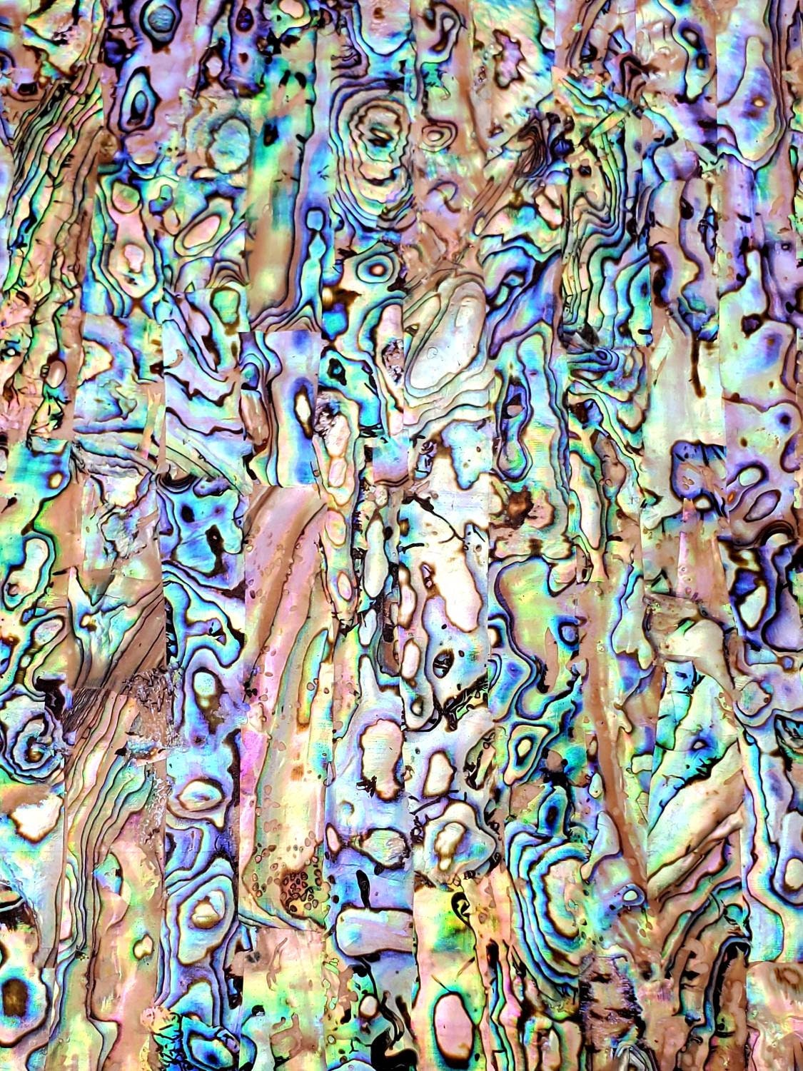 Natural Paua Abalone Adhesive Veneer Sheet (Mother of Pearl Shell) 9.5 x 5.5 inches -A46