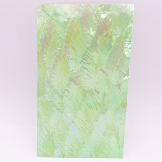 Yellow-Green Abalone Adhesive Veneer Sheet (Mother of Pearl Shell) 9.5 x 5.5 inches -A45