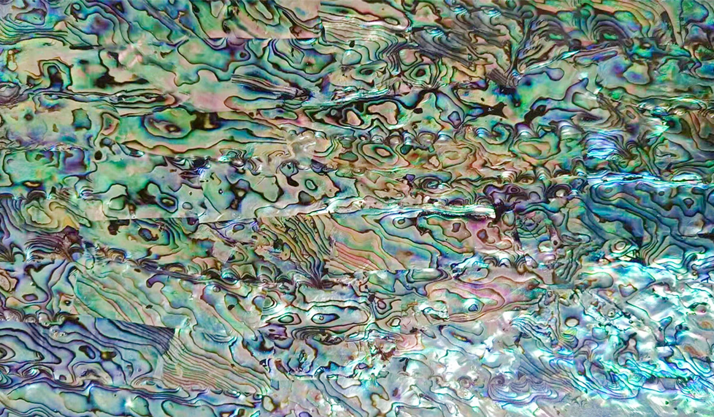 Abalone AA Shell Adhesive Veneer Sheet (Mother of Pearl Shell) 9.5 x 5.5 inches -A3