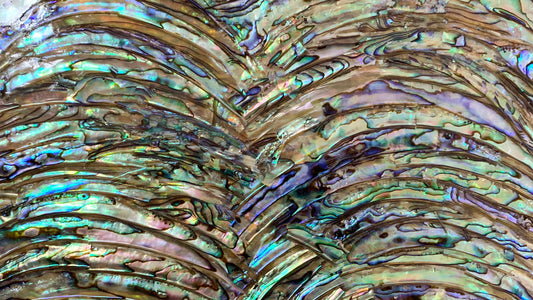 Abalone Shell AA with Rims Adhesive Veneer Sheet (Mother of Pearl Shell) 9.5 x 5.5 inches -A11