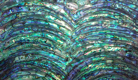 Abalone Shell AA Rims with Black Background Adhesive Veneer Sheet (Mother of Pearl Shell) 9.5 x 5.5 inches -A12